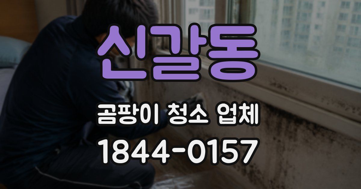 신갈동 곰팡이 청소 업체