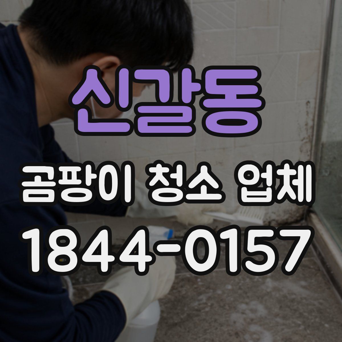 신갈동 곰팡이 청소 업체