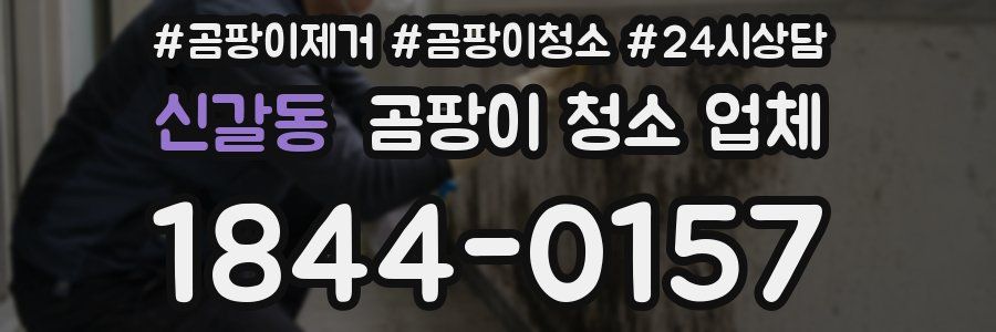 신갈동 곰팡이 청소 업체