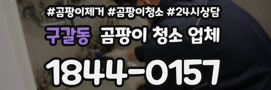 구갈동 곰팡이 청소 업체
