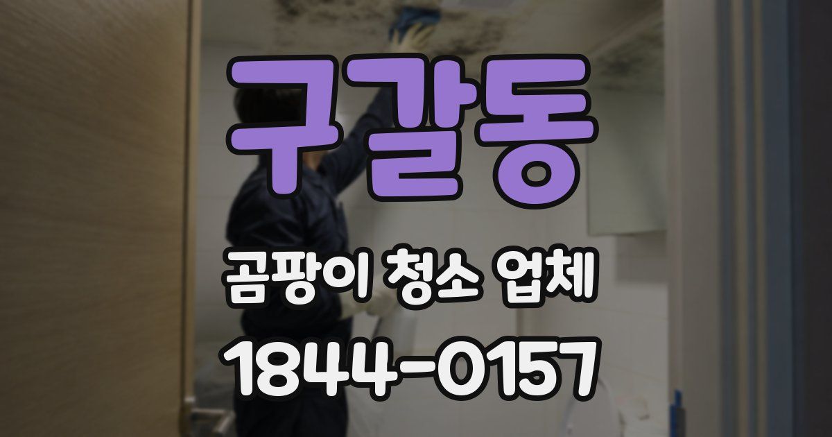 구갈동 곰팡이 청소 업체