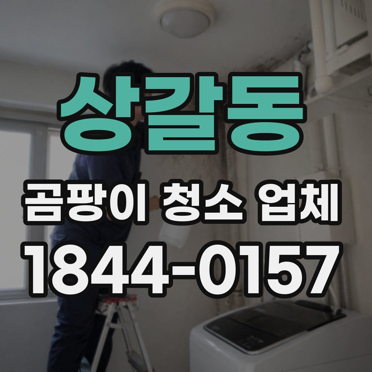 상갈동 곰팡이 청소 업체