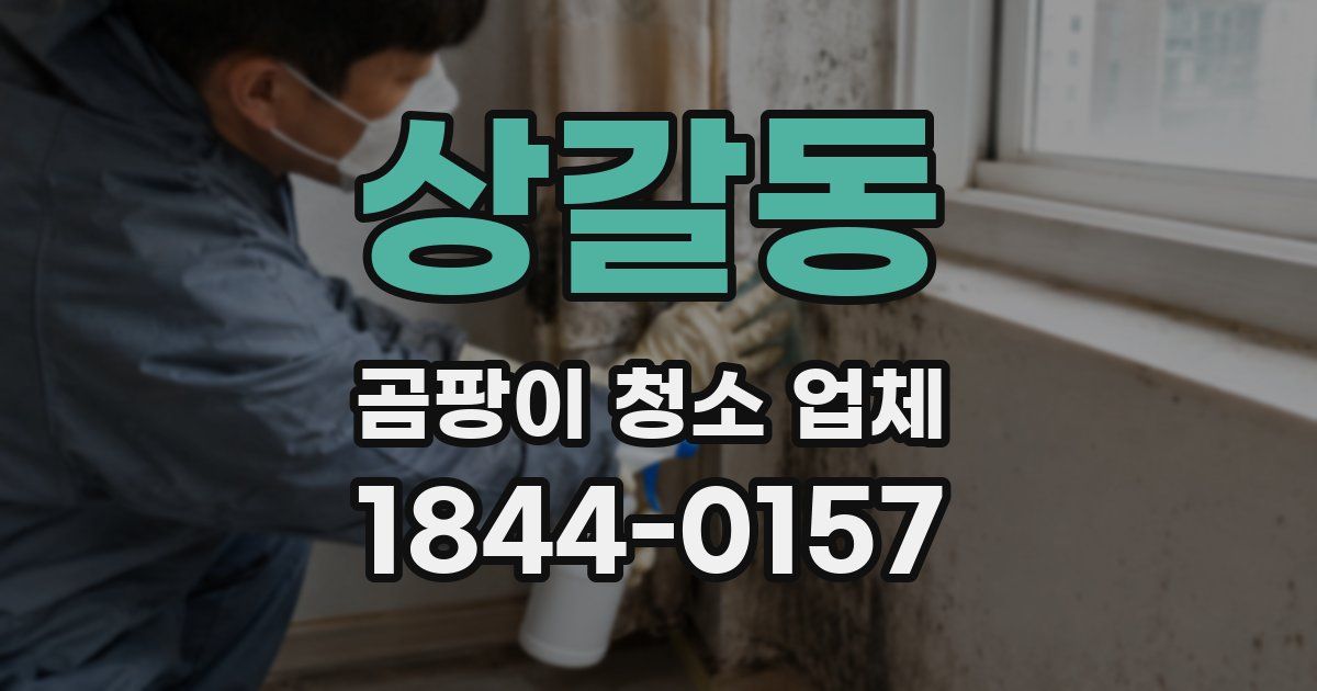 상갈동 곰팡이 청소 업체