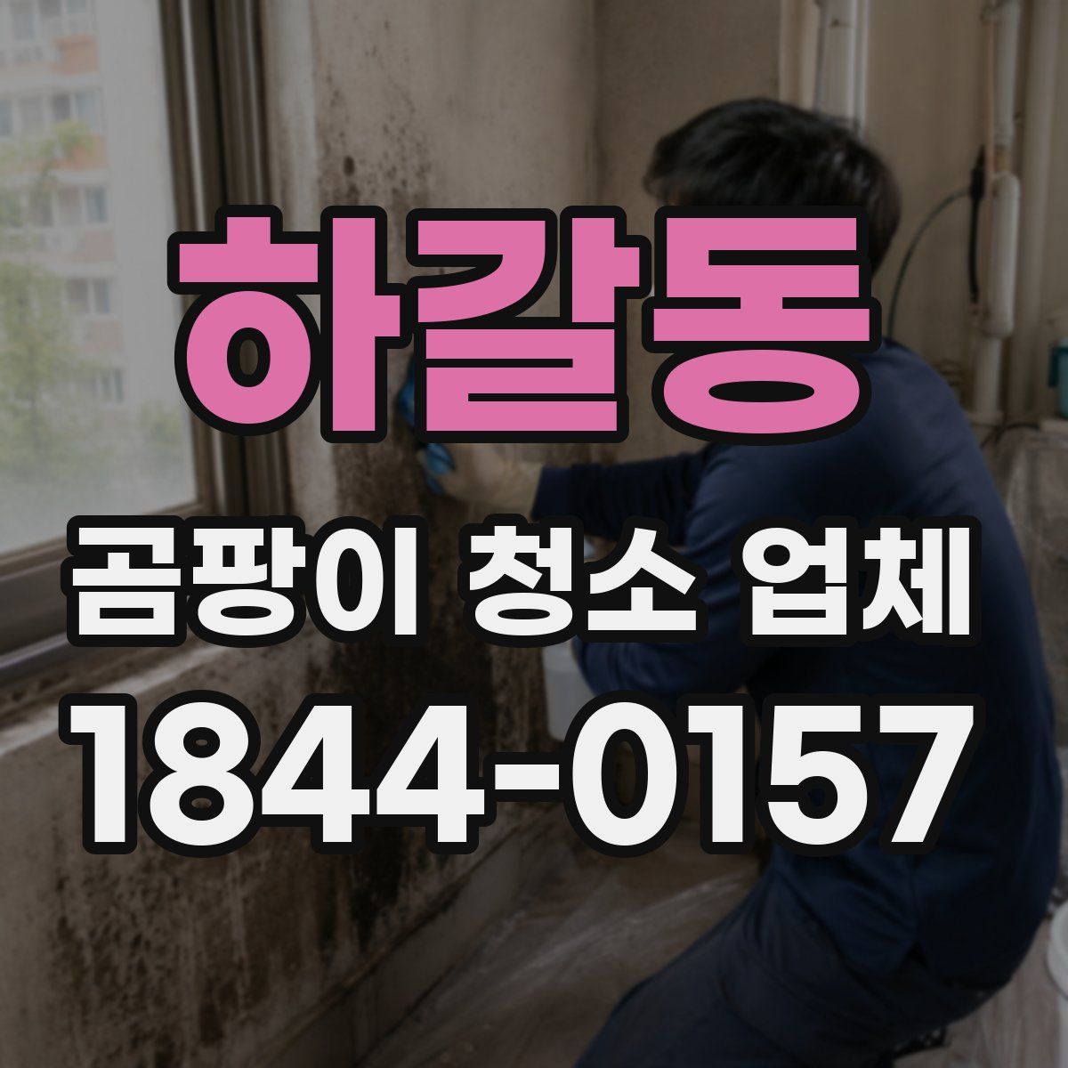 하갈동 곰팡이 청소 업체