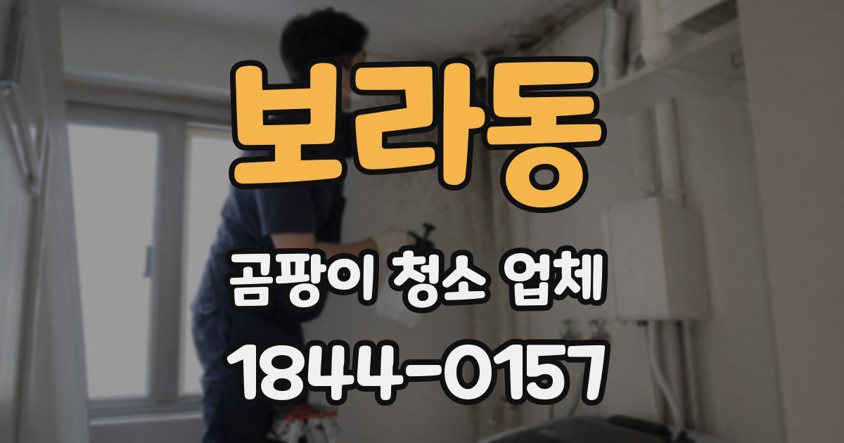 보라동 곰팡이 청소 업체