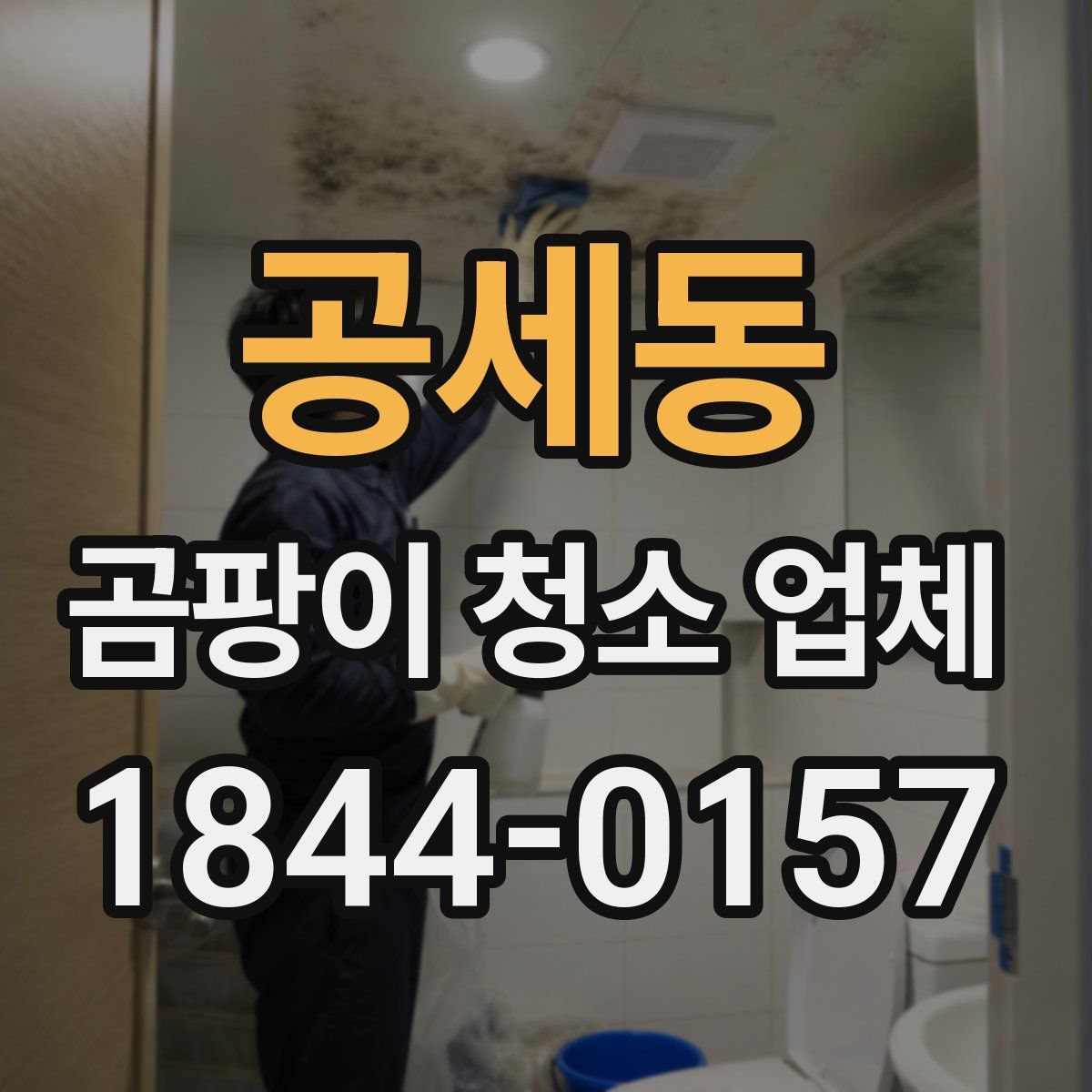 공세동 곰팡이 청소 업체