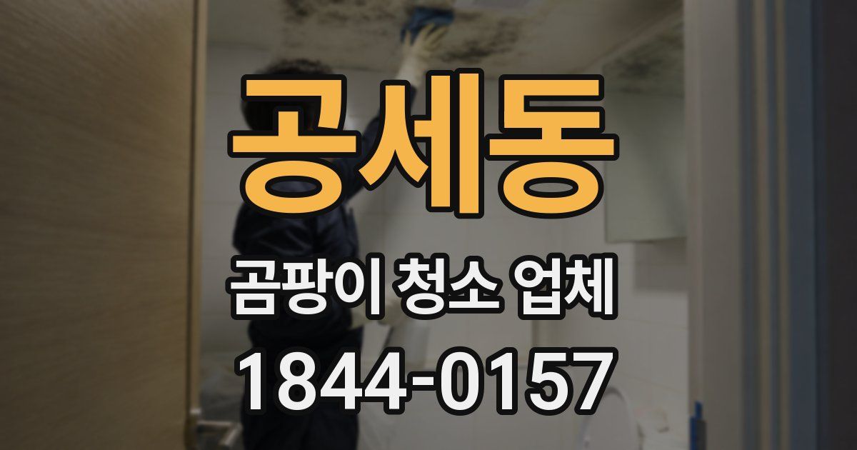 공세동 곰팡이 청소 업체