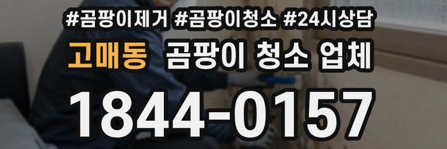 고매동 곰팡이 청소 업체