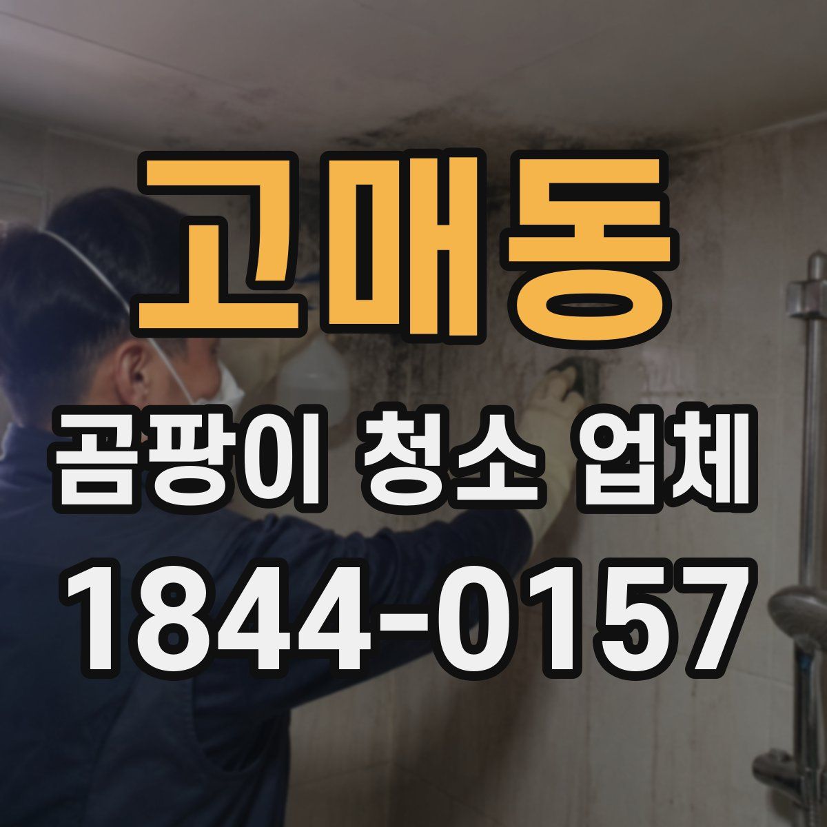 고매동 곰팡이 청소 업체