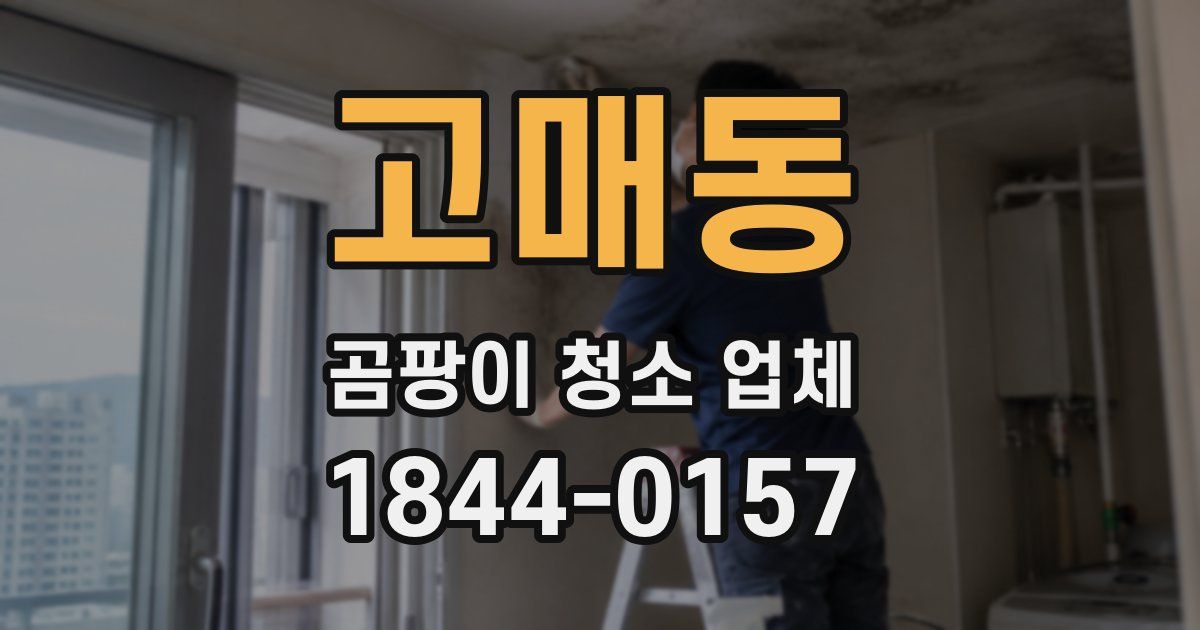 고매동 곰팡이 청소 업체