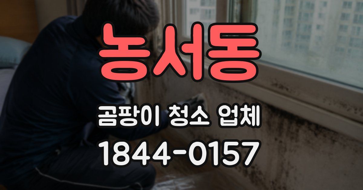 농서동 곰팡이 청소 업체