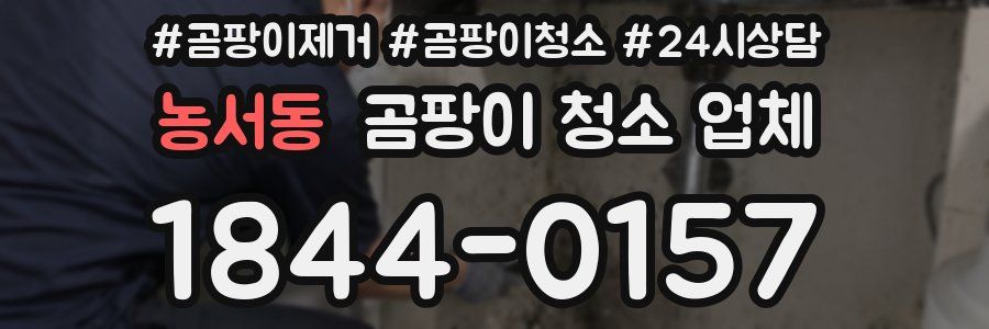 농서동 곰팡이 청소 업체