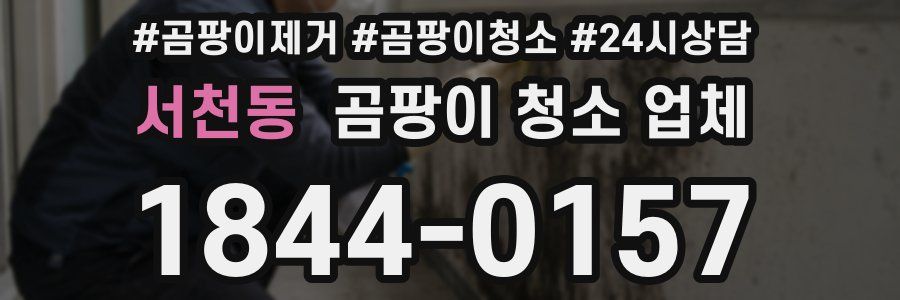 서천동 곰팡이 청소 업체