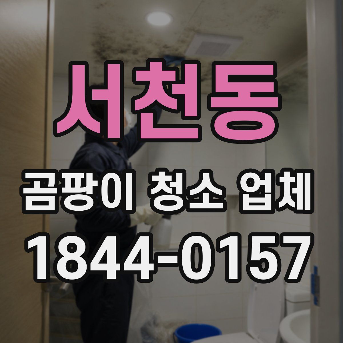 서천동 곰팡이 청소 업체