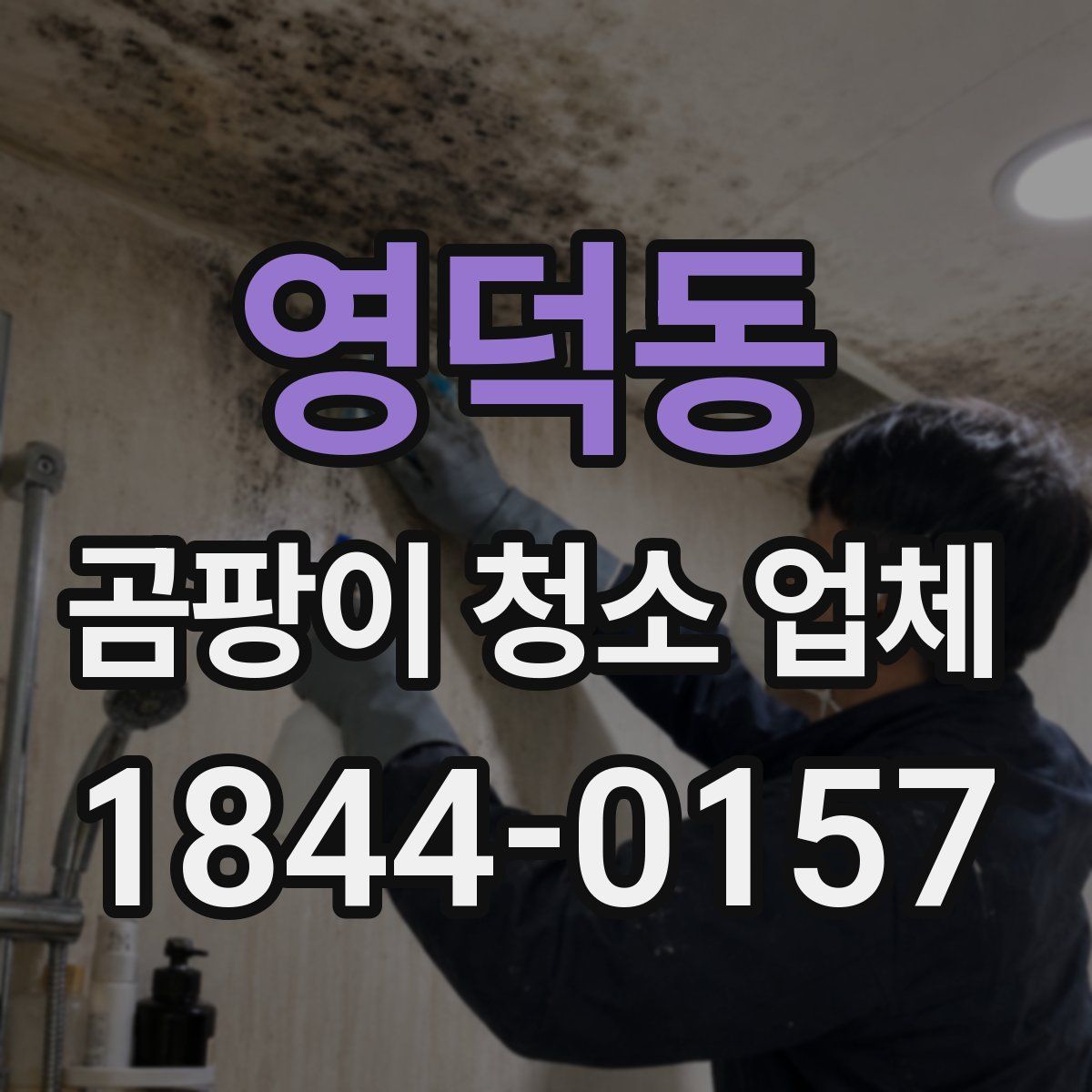 영덕동 곰팡이 청소 업체