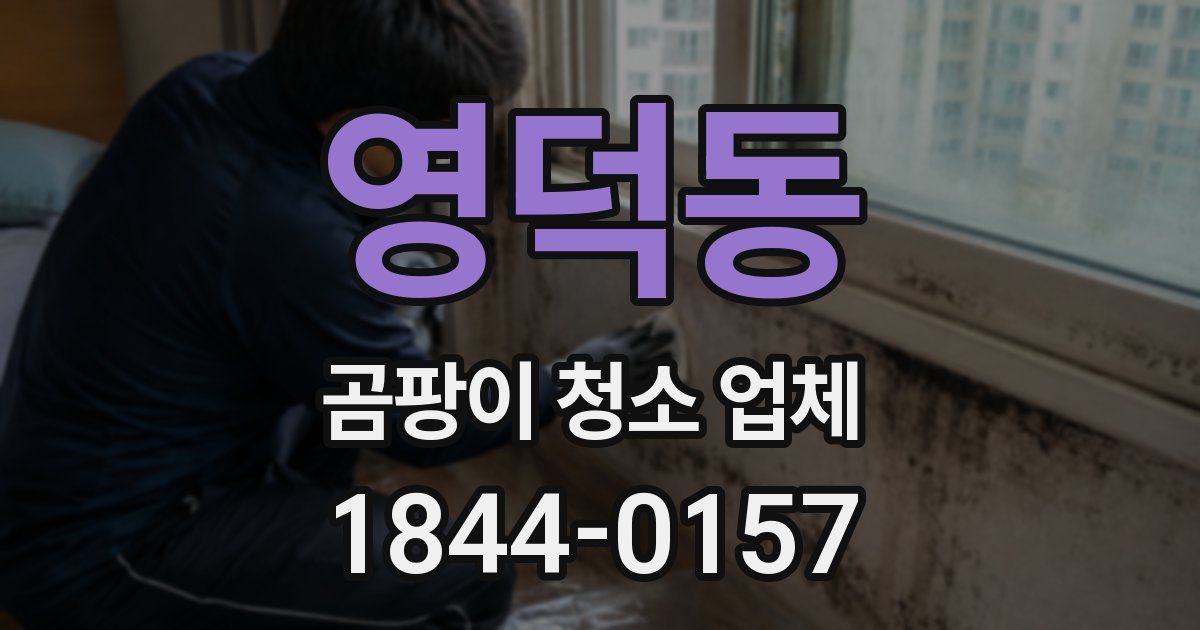 영덕동 곰팡이 청소 업체