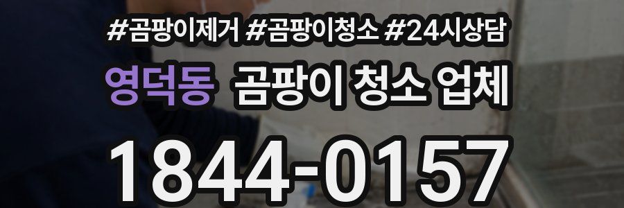 영덕동 곰팡이 청소 업체