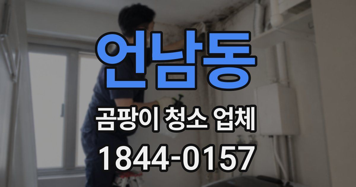 언남동 곰팡이 청소 업체