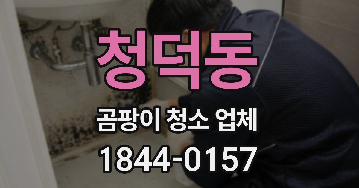 청덕동 곰팡이 청소 업체