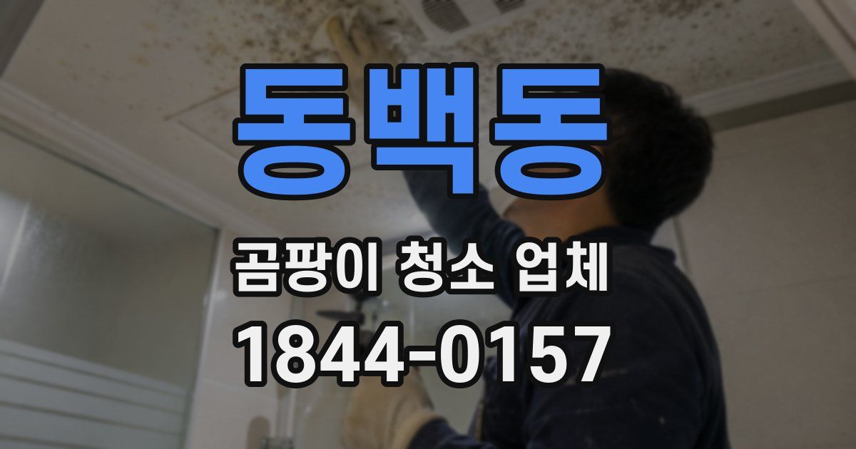 동백동 곰팡이 청소 업체