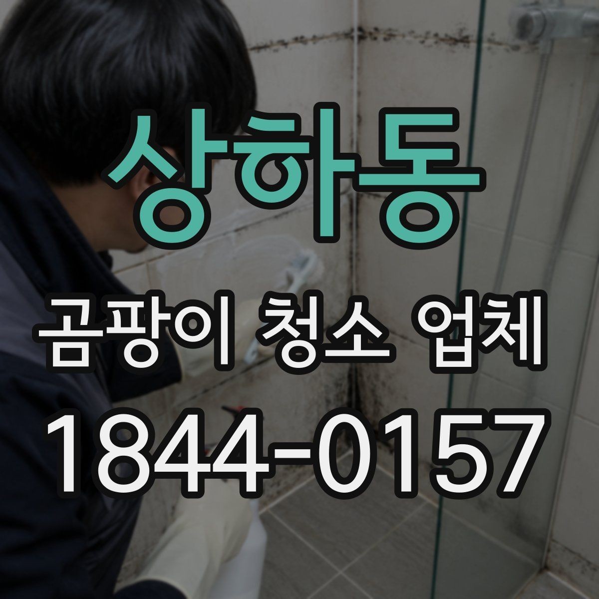 상하동 곰팡이 청소 업체 방문 전 사진으로 확인하는 현장 상태
