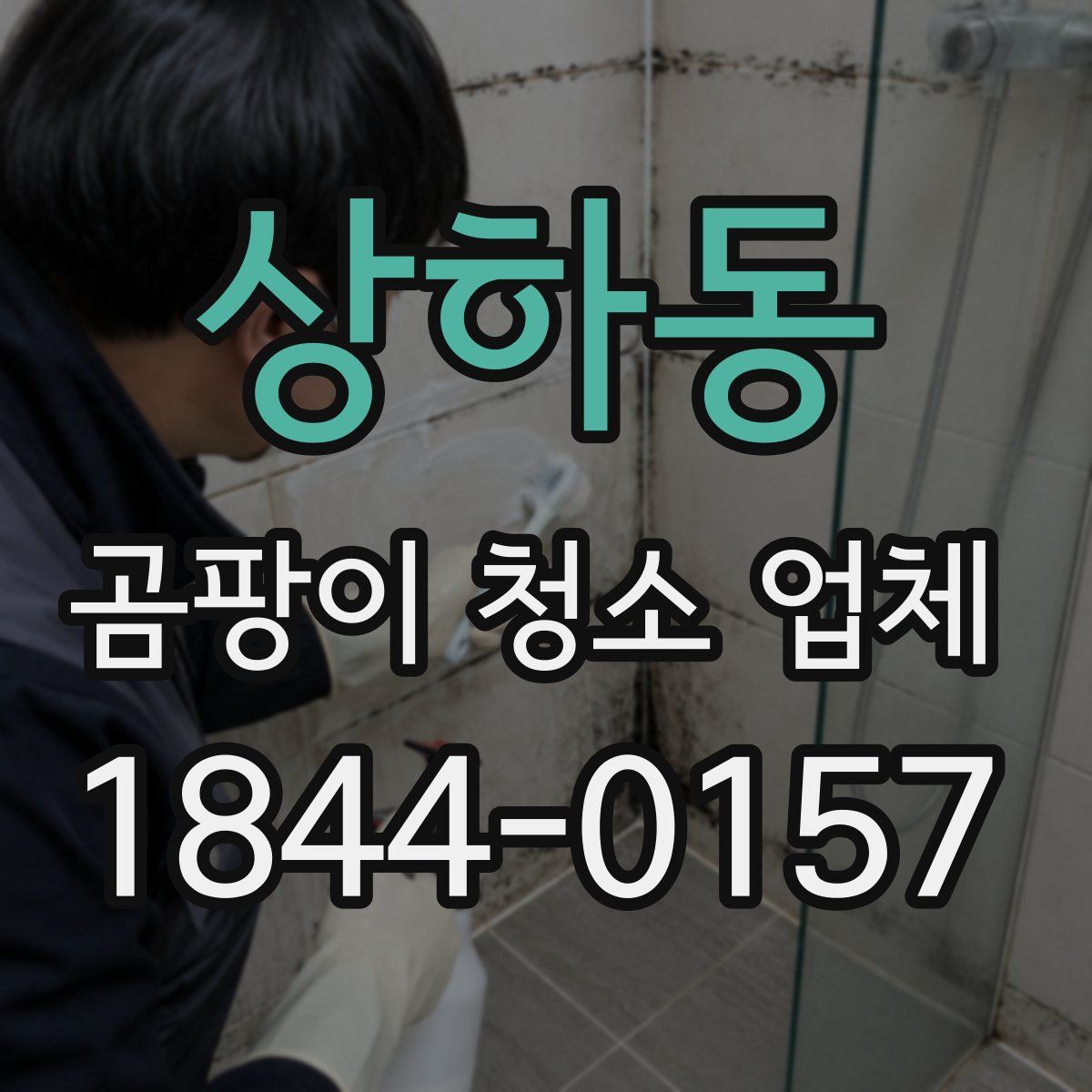 상하동 곰팡이 청소 업체