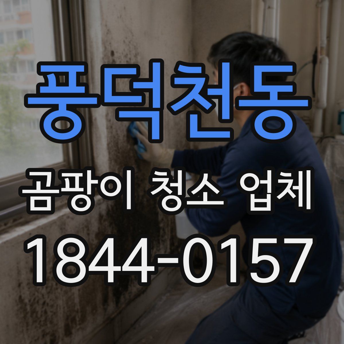 풍덕천동 곰팡이 청소 업체