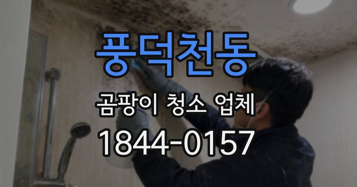 풍덕천동 곰팡이 청소 업체