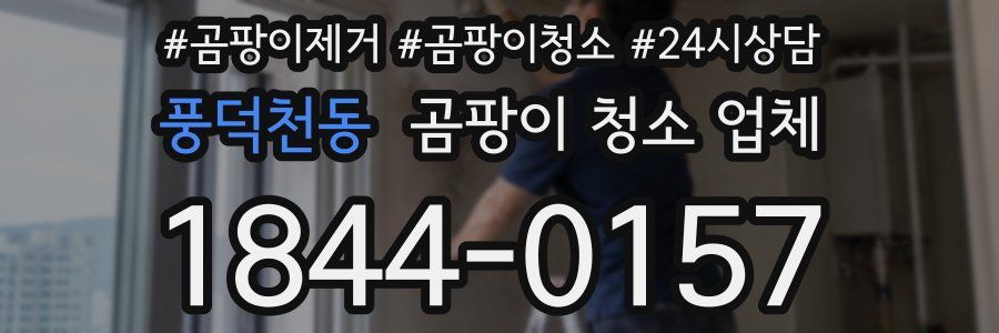 풍덕천동 곰팡이 청소 업체
