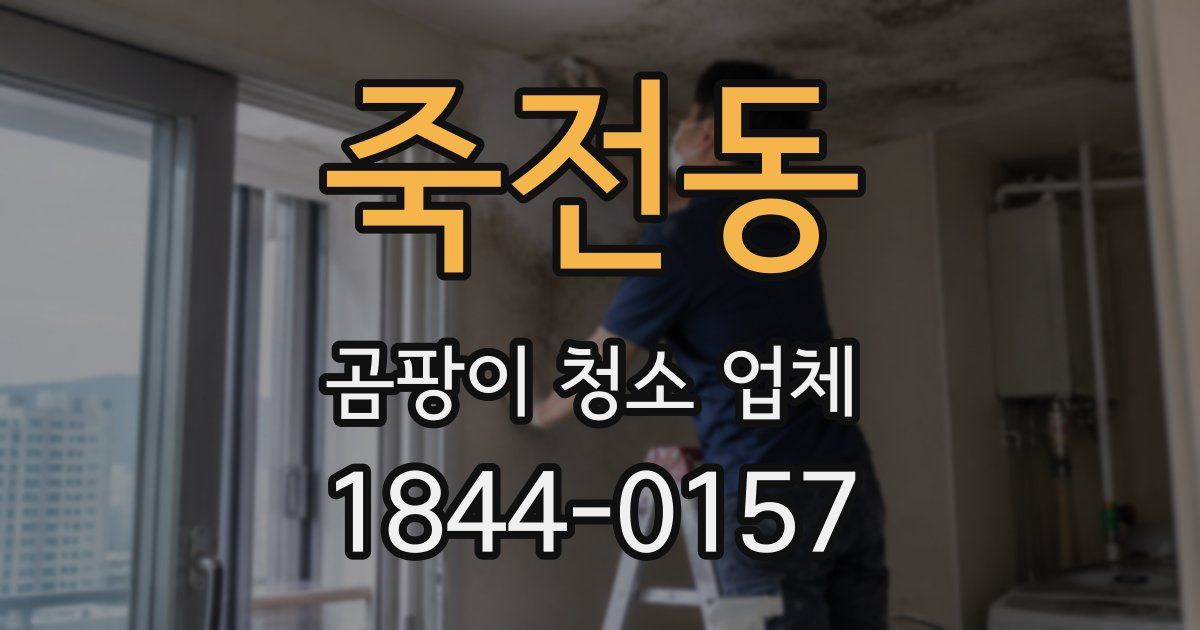 죽전동 곰팡이 청소 업체