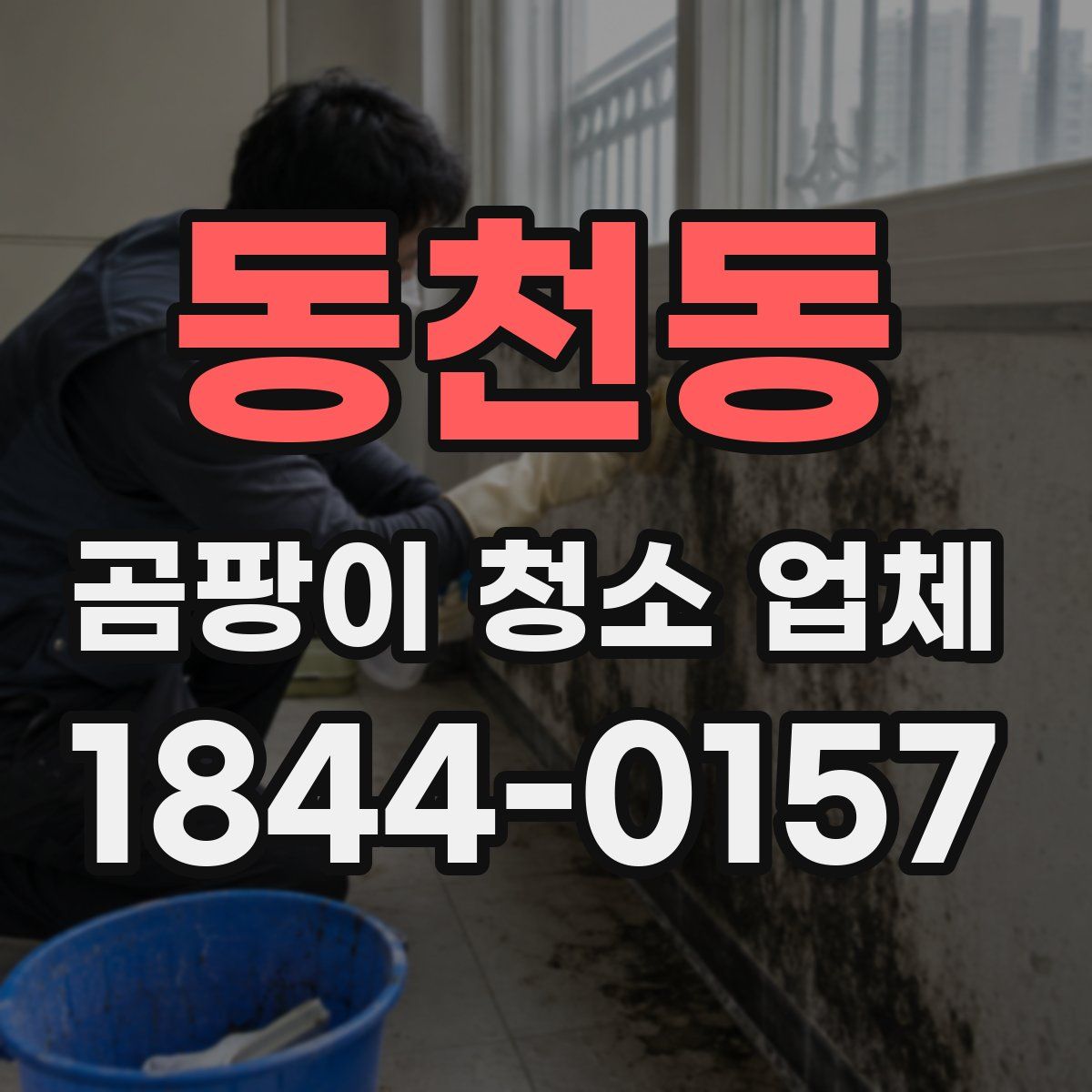 동천동 곰팡이 청소 업체