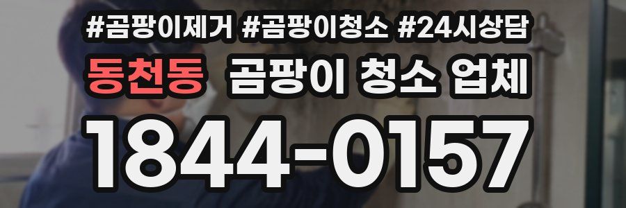 동천동 곰팡이 청소 업체