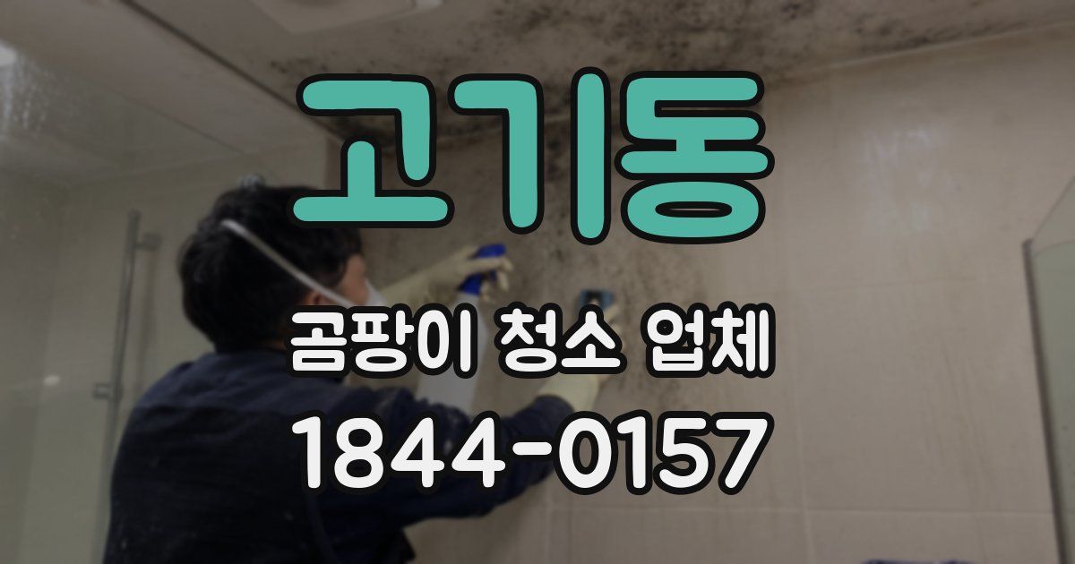 고기동 곰팡이 청소 업체