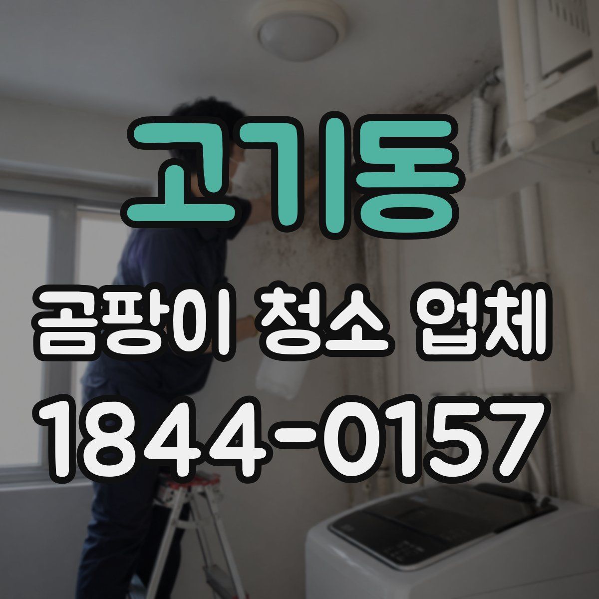 고기동 곰팡이 청소 업체