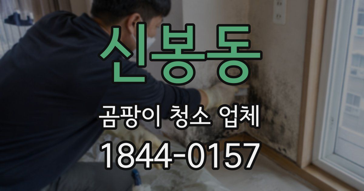 신봉동 곰팡이 청소 업체