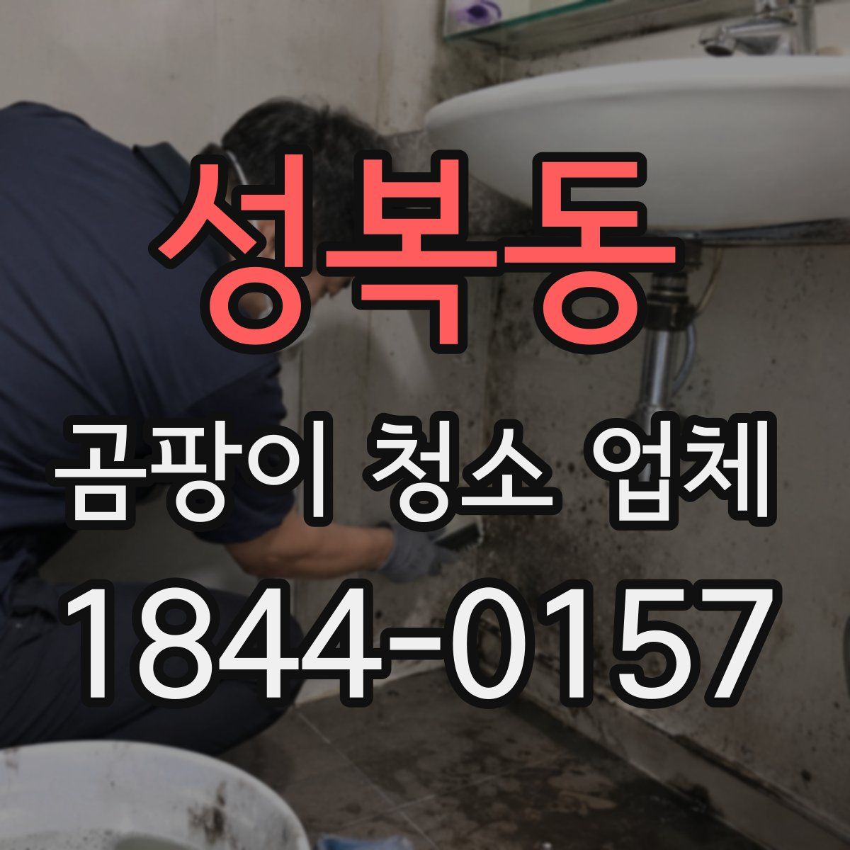 성복동 곰팡이 청소 업체