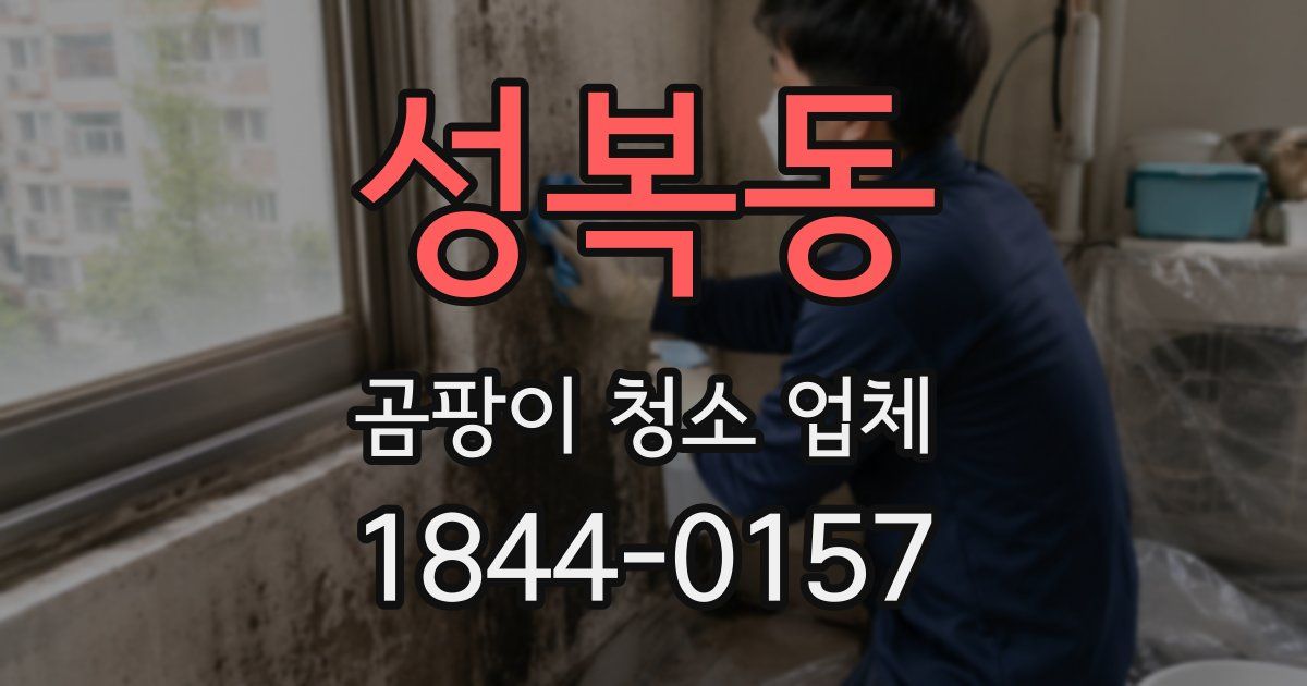 성복동 곰팡이 청소 업체