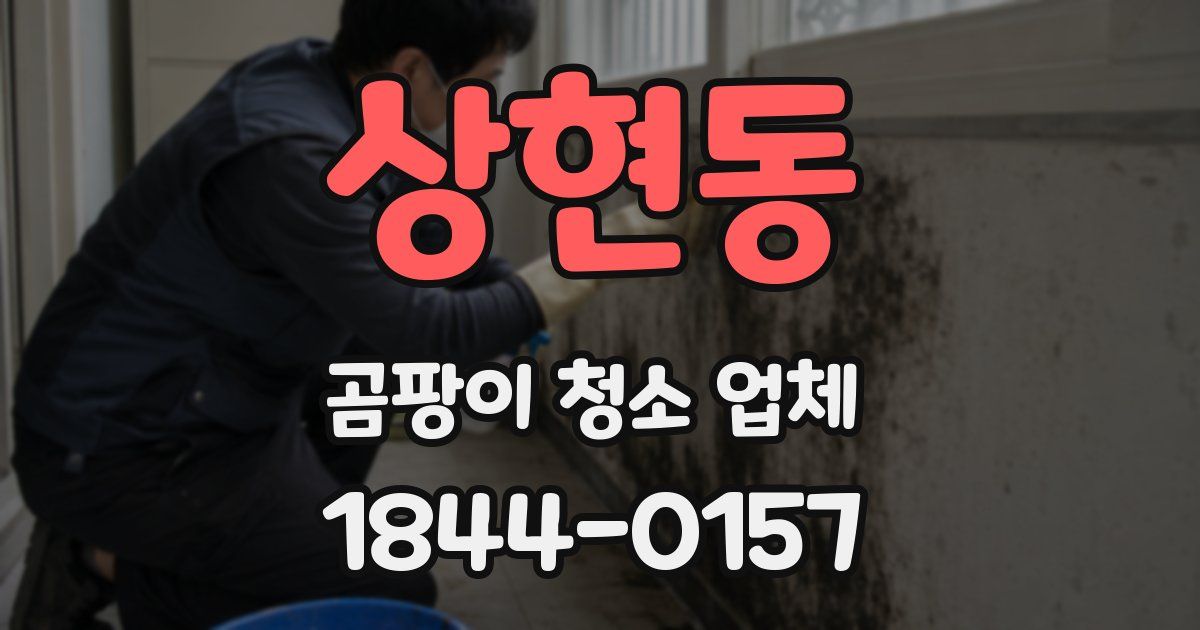 상현동 곰팡이 청소 업체