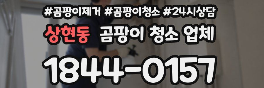 상현동 곰팡이 청소 업체