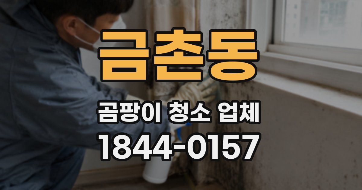 금촌동 곰팡이 청소 업체