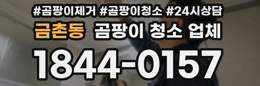 금촌동 곰팡이 청소 업체