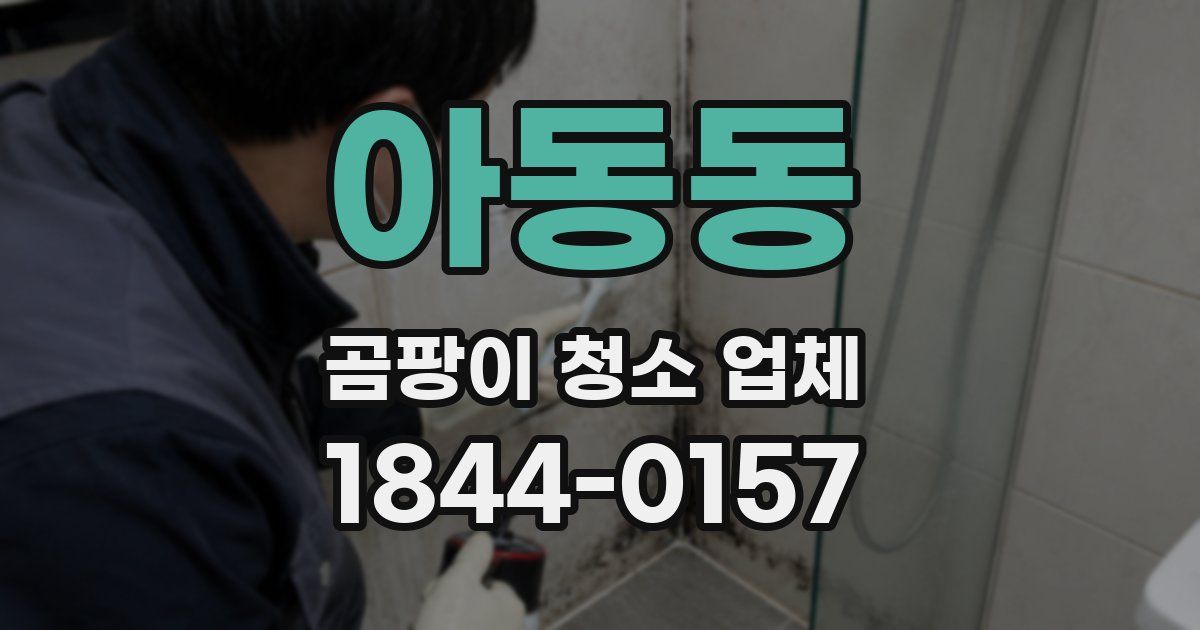아동동 곰팡이 청소 업체