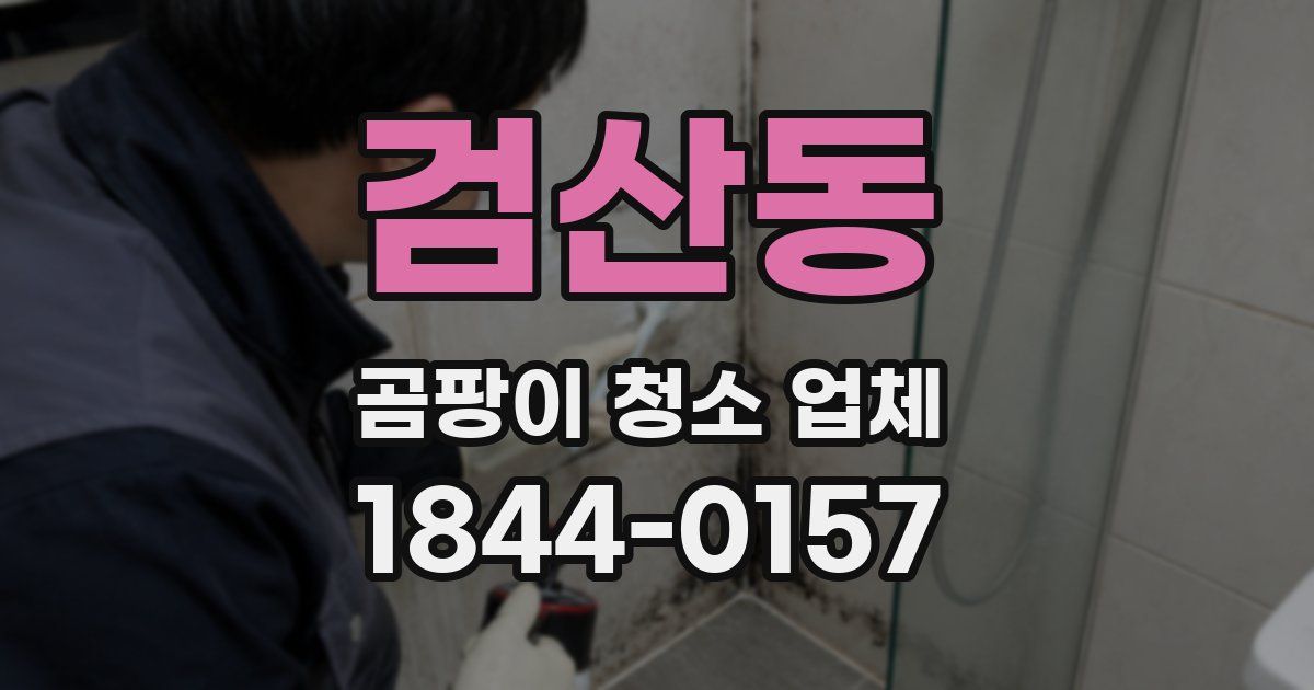검산동 곰팡이 청소 업체