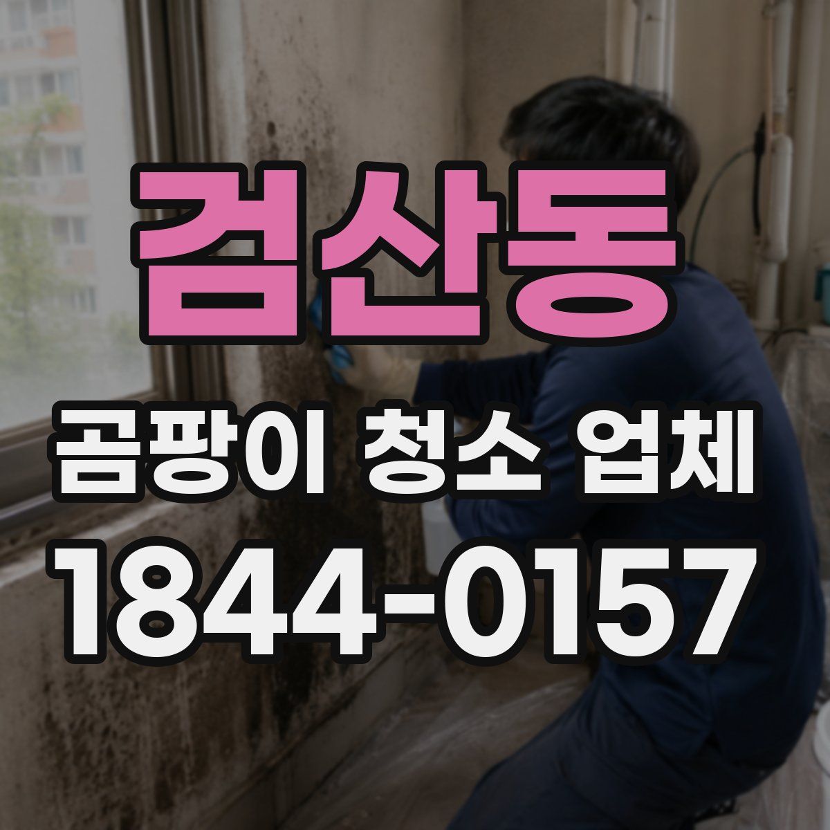 검산동 곰팡이 청소 업체