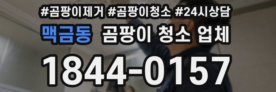 맥금동 곰팡이 청소 업체