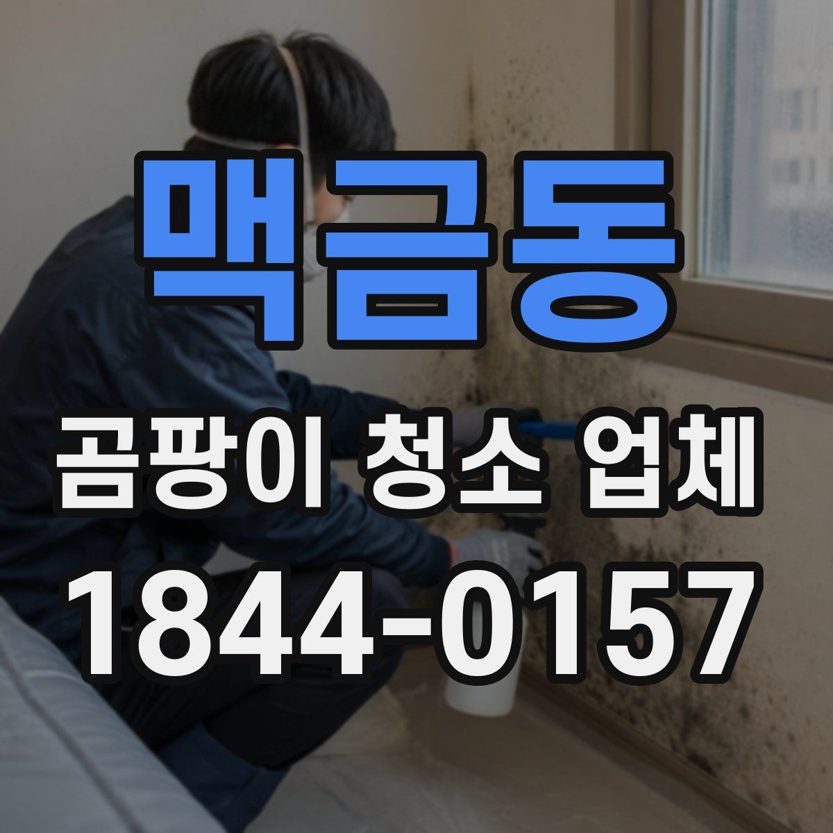 맥금동 곰팡이 청소 업체