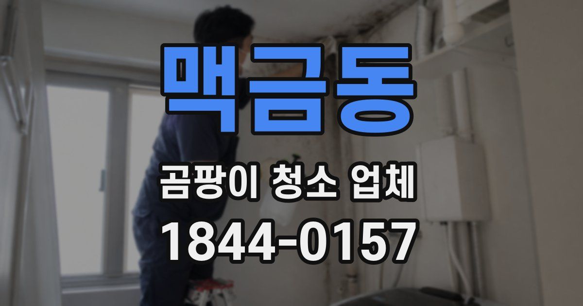 맥금동 곰팡이 청소 업체