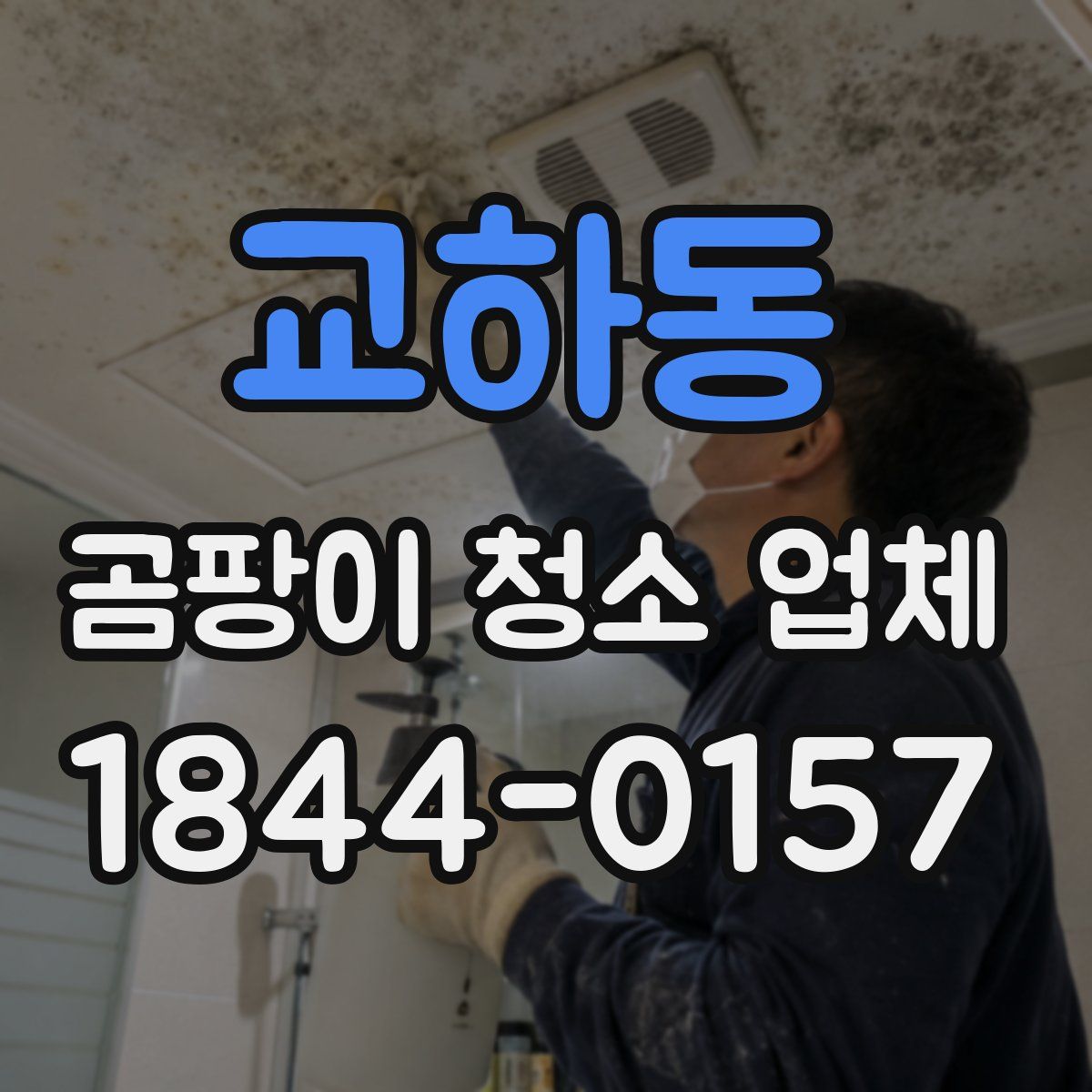 교하동 곰팡이 청소 업체