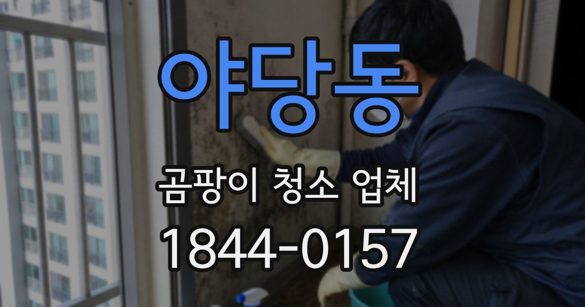 야당동 곰팡이 청소 업체