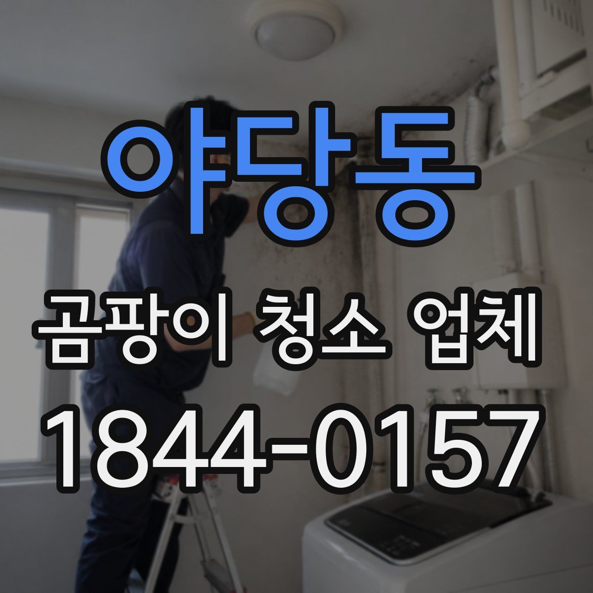 야당동 곰팡이 청소 업체